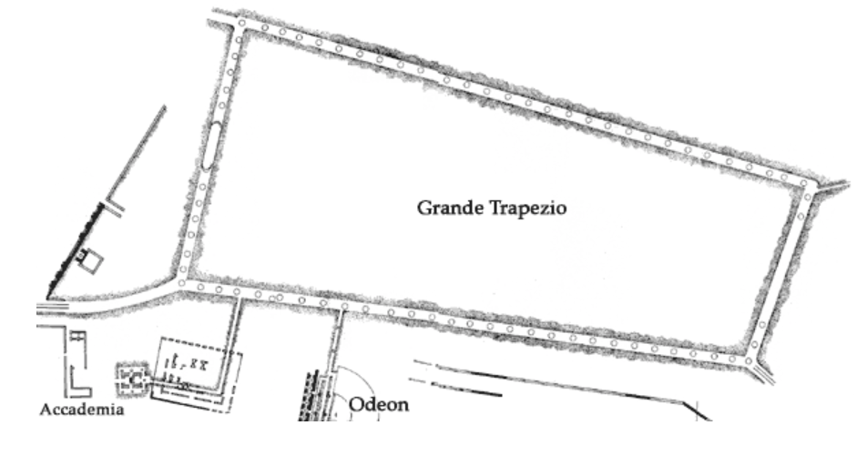 grande trapezio pianta italiana 2502.png