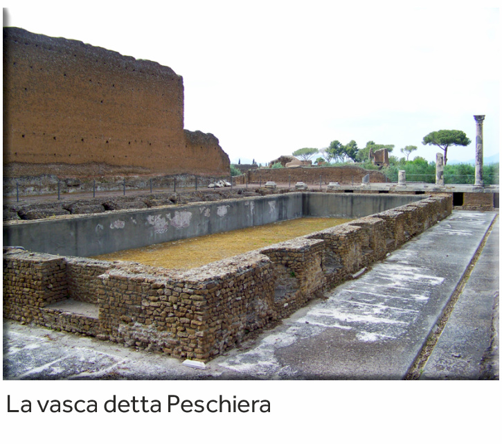 vasca-peschiera-ita.jpg